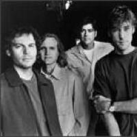 Gin Blossoms圖片照片_Gin Blossoms