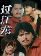 過江龍（1995）線上看_高清完整版線上看 - 蟲蟲電影