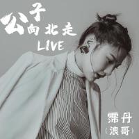 霈丹浪哥歌曲歌詞大全_霈丹浪哥最新歌曲歌詞