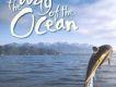 Way Of The Ocean