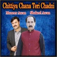 Chittiya Chana Teri Chadni