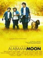 克林特·霍華德演過的電影電視劇線上看_影視作品大全_好看的明星