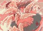uzumakinoharu - -2021 3.11- (feat. 岸田勇気)專輯_sasakure.UKuzumakinoharu - -2021 3.11- (feat. 岸田勇気)最新專輯