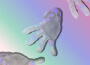 melee / falling專輯_Cavaliermelee / falling最新專輯