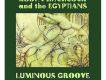 Luminous Groove