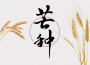 芒種專輯_嚴子研芒種最新專輯