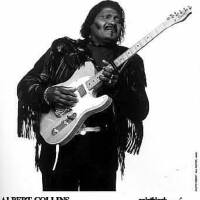 Albert Collins圖片照片_Albert Collins