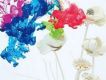 OCEANLANE歌曲歌詞大全_OCEANLANE最新歌曲歌詞