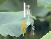 君子歌曲歌詞大全_君子最新歌曲歌詞