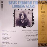 The Bevis Frond圖片照片_照片寫真