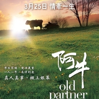 阿牛手機鈴聲圖片照片_阿牛手機鈴聲