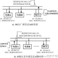 Arp圖片照片_Arp