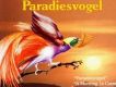 Paradiesvogel 天堂鳥