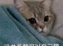 ❥專輯_斯嘉❥最新專輯