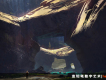 Kalen圖片照片_Kalen
