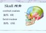Cranium
