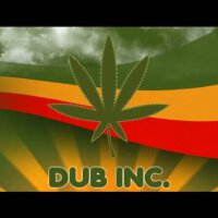 Dub Incorporation圖片照片_Dub Incorporation