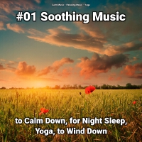 Calm Music最新專輯_新專輯大全_專輯列表