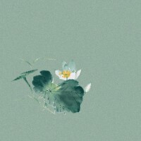 宸菲個人資料介紹_個人檔案(生日/星座/歌曲/專輯/MV作品)