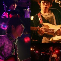 WHITE ASH圖片照片_WHITE ASH