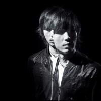 Swallow圖片照片_Swallow