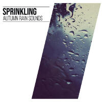 Rain Sounds XLE Library個人資料介紹_個人檔案(生日/星座/歌曲/專輯/MV作品)