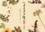 夏目友人帳 參·肆 音楽集 ひねもすきらりきらり (夏目友人帳 三·四 音樂集 璀璨依舊)專輯_吉森信夏目友人帳 參·肆 音楽集 ひねもすきらりきらり (夏目友人帳 三·四 音樂集 璀璨依舊)最新專輯