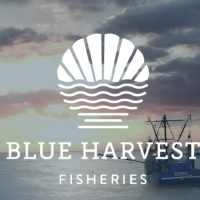 Blue Harvest個人資料介紹_個人檔案(生日/星座/歌曲/專輯/MV作品)