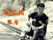 淡愛歌詞_張為淡愛歌詞