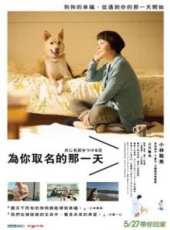 最新2015卡通片_2015卡通片大全/排行榜 - 蟲蟲動漫