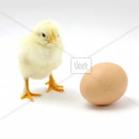 Chick&nbsp;Corea圖片照片_Chick Corea