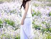 煙花姑娘 EP