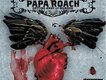 Papa Roach歌曲歌詞大全_Papa Roach最新歌曲歌詞
