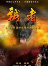 王強演過的電影電視劇線上看_影視作品大全_好看的明星