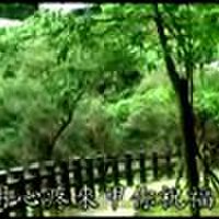 等待舞伴圖片照片_等待舞伴