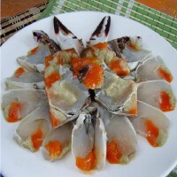 豆腐圖片照片_照片寫真