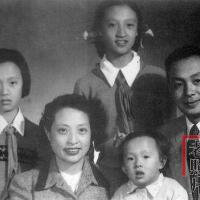 張權圖片照片_張權