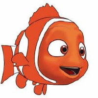 Nemo圖片照片_Nemo