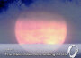 The Stars Also Are Looking At Us專輯_YakuroThe Stars Also Are Looking At Us最新專輯
