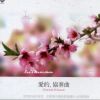 愛的協奏曲 Concerto D Amo