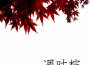 廻 (meguri)專輯_凋葉棕廻 (meguri)最新專輯
