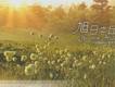 旭日之丘 (Sunrise Hill)