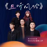 RESOUND理想人聲樂團最新專輯_新專輯大全_專輯列表