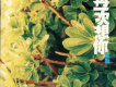 再一次想你
