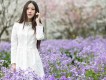 一隻舟圖片照片