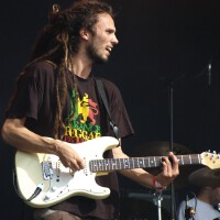 Dub Incorporation圖片照片_Dub Incorporation