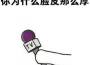 上五樓破音最新歌曲_最熱專輯MV_圖片照片