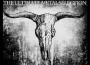 Spirit in Black, Chapter Two (The Ultimate Metal Selection)專輯_DestructionSpirit in Black, Chapter Two (The Ultimate Metal Selection)最新專輯