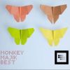 MONKEY MAJIK歌曲歌詞大全_MONKEY MAJIK最新歌曲歌詞