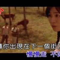 本兮Vce 單小源圖片照片_本兮Vce 單小源